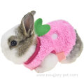 Winter Warm Bunny Rabbit Clothes